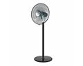 Pedestal fan