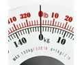 Easy View Weight Indicator